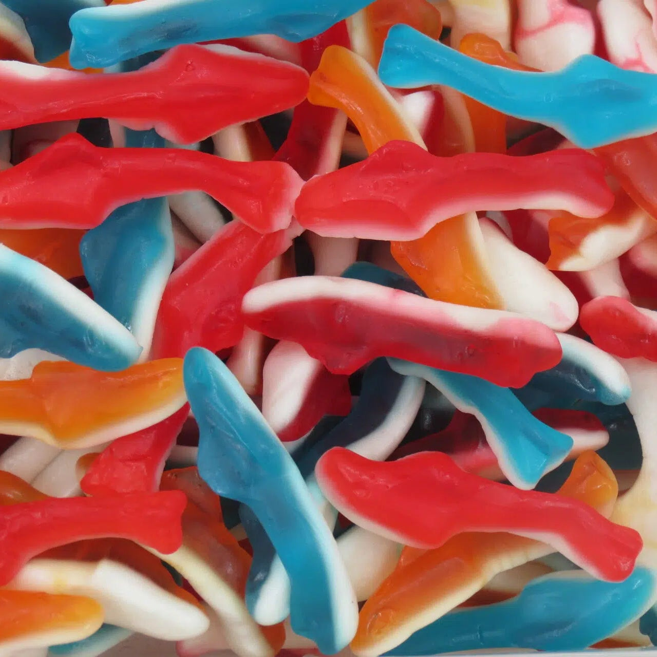 GEKLEURDE HAAIEN/ TIBURONES 1KG