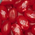 JELLY BELLY KRUIDIGE KANEEL 1kg